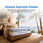 Zcoopy Oceana Supreme Classic
