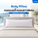 Zcoopy Body Pillow