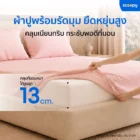 ชุดเครื่องนอน Zcoopy Bedding Set - Image 5