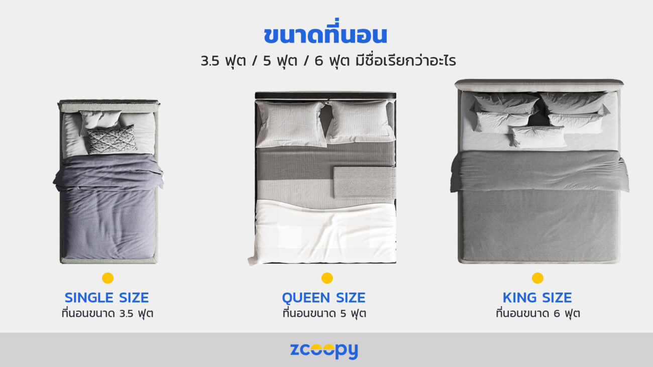 Mattress size-Zcoopy