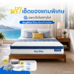 ที่นอน Zcoopy Bay Bliss