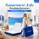 ท็อปเปอร์พับ 3FT Zcoopy 3-Fold Premium Latex Topper